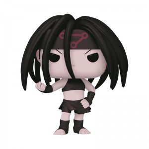 Avatar: The Last Airbender Funko POP Fullmetal Alchemist + Pop! Envy | UAE855337