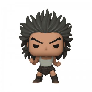 Avatar: The Last Airbender Funko POP Hunter x Hunter + Pop! Uvogin | UAE855347