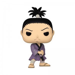 Avatar: The Last Airbender Funko POP Hunter x Hunter + Pop! Nobunaga Hazama | UAE855352