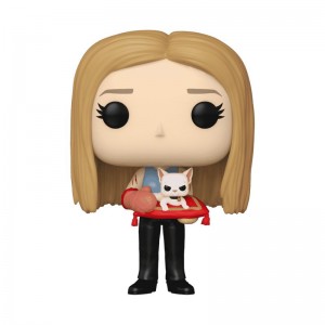 Comedy Funko POP Friends + Pop! Rachel Green with Mrs. Whiskerson | UAE855552