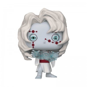 Demon Slayer Funko POP Demon Slayer + Pop! Rui | UAE855858